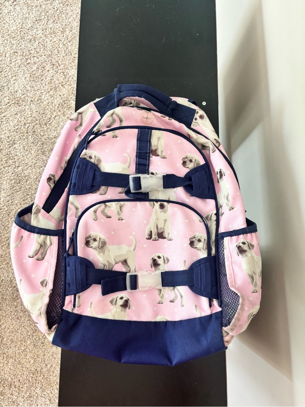 Pottery Barn Kids Pink Puppy Print Backpack